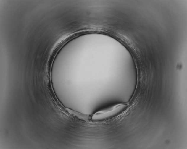 X0000097761172200803281627