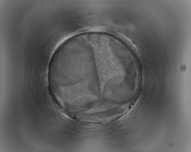 X0000097761174200803281627