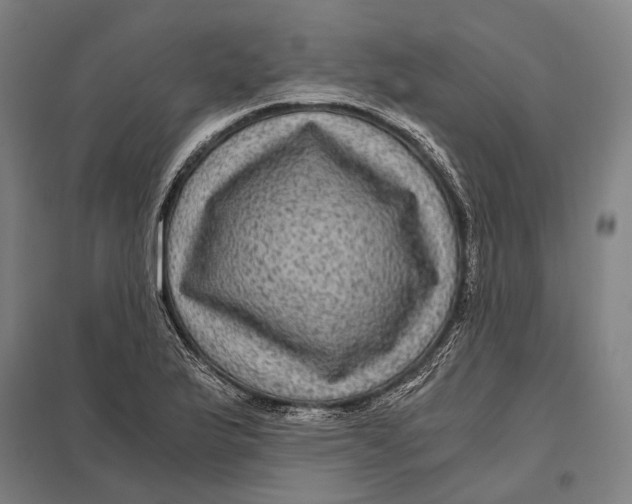 X0000097761175200803281626