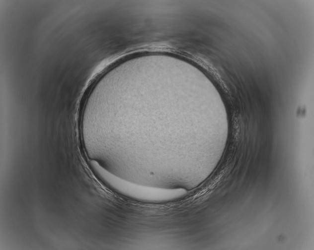 X0000097761176200803281626