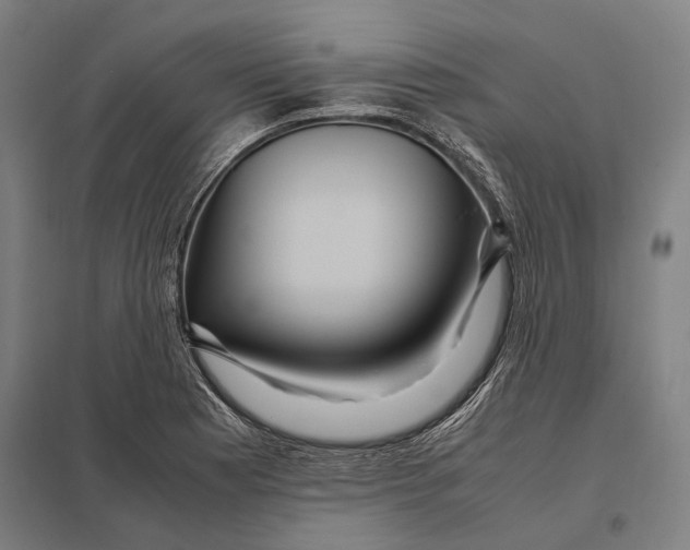 X0000097761177200803281626