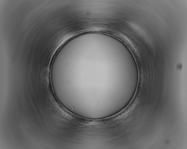 X0000097761178200803281626