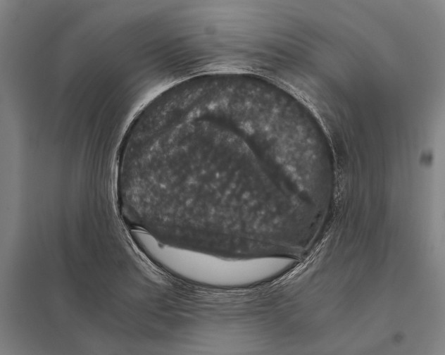 X0000097761179200803281626