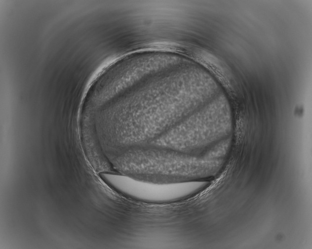 X0000097761180200803281626