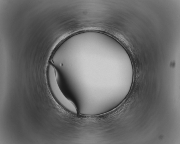 X0000097761181200803281626