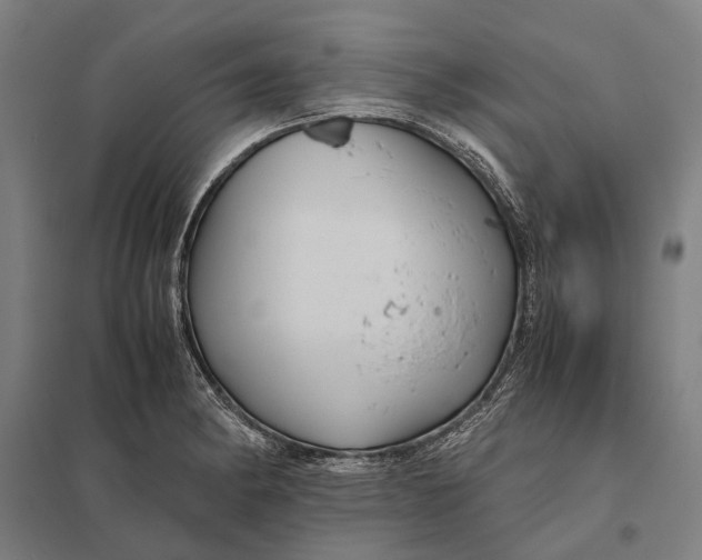 X0000097761182200803281626