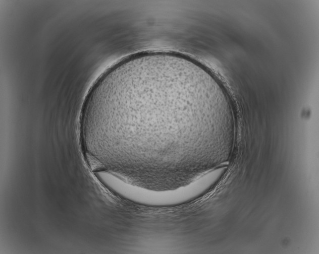 X0000097761183200803281626