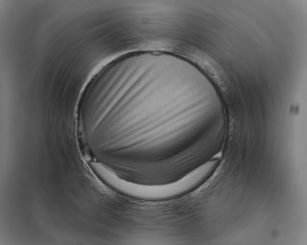 X0000097761184200803281626