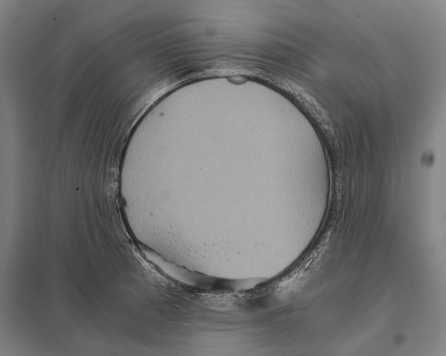 X0000097761185200803281626