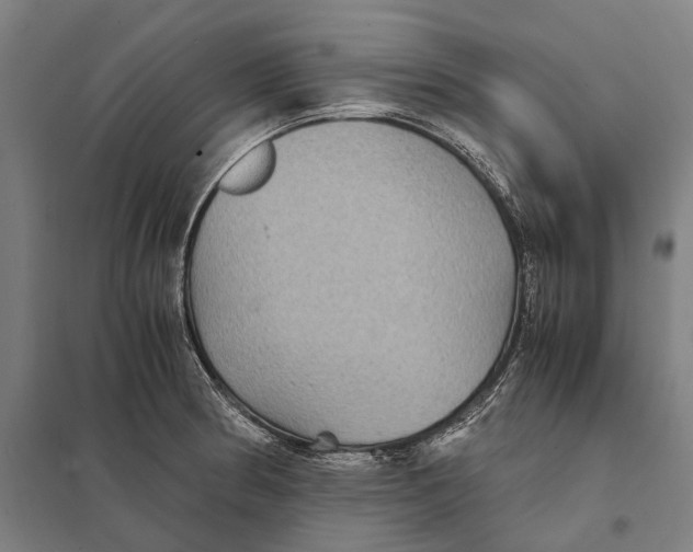 X0000097761186200803281626