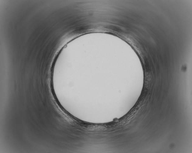 X0000097761187200803281626