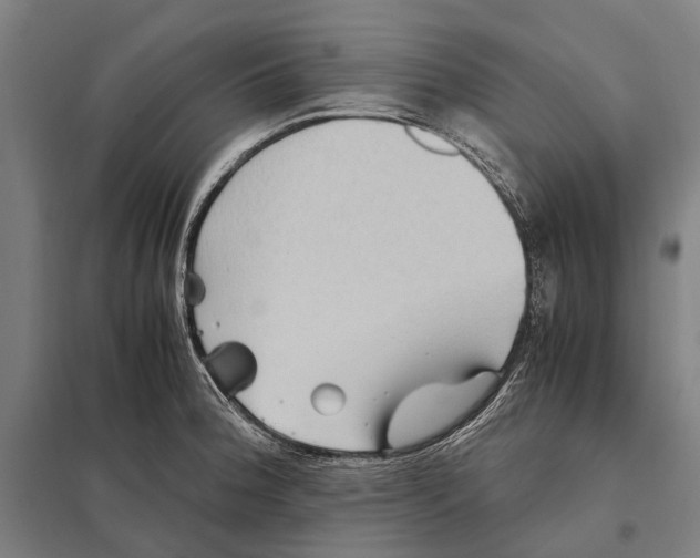 X0000097761188200803281626