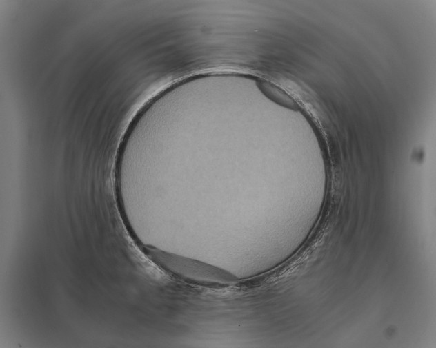 X0000097761189200803281626