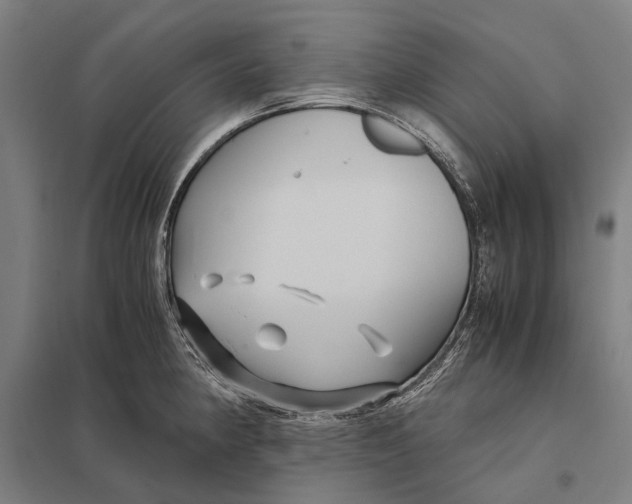 X0000097761190200803281626