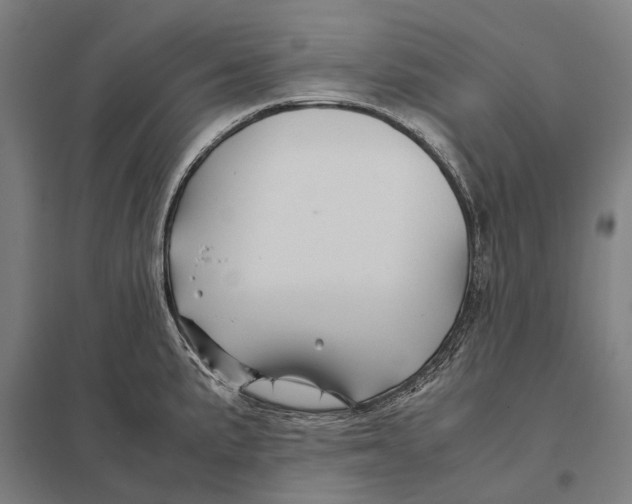 X0000097761191200803281626