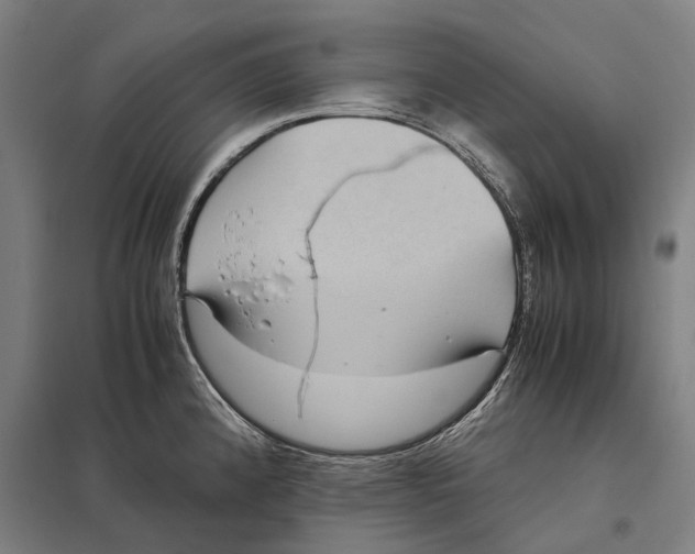 X0000097761192200803281626