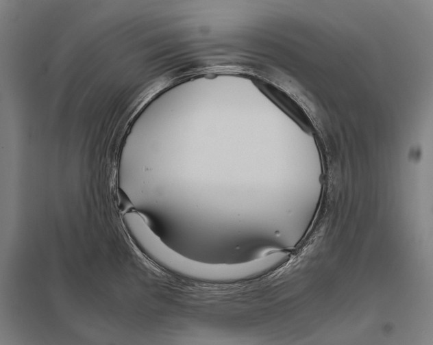 X0000097761193200803281626