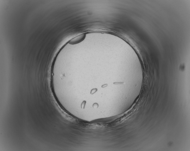 X0000097761195200803281626