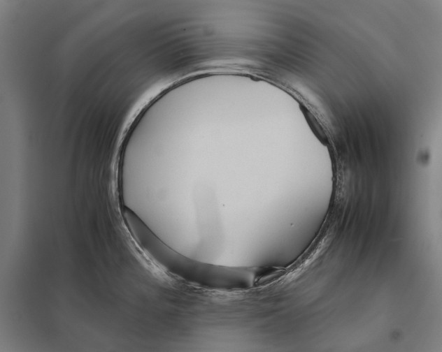 X0000097761196200803281626