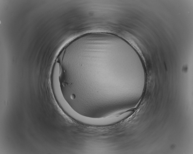 X0000097761197200803281626