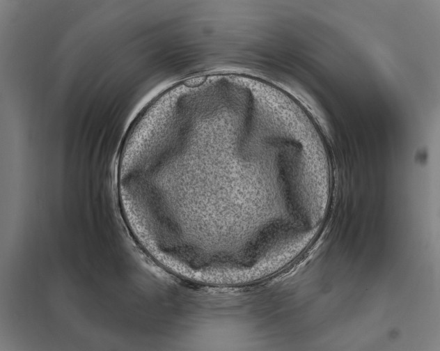 X0000097761198200803281626