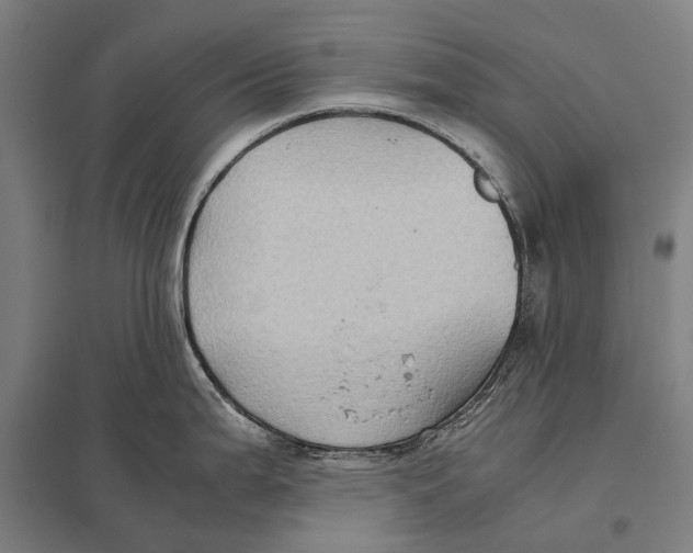 X0000097761199200803281626