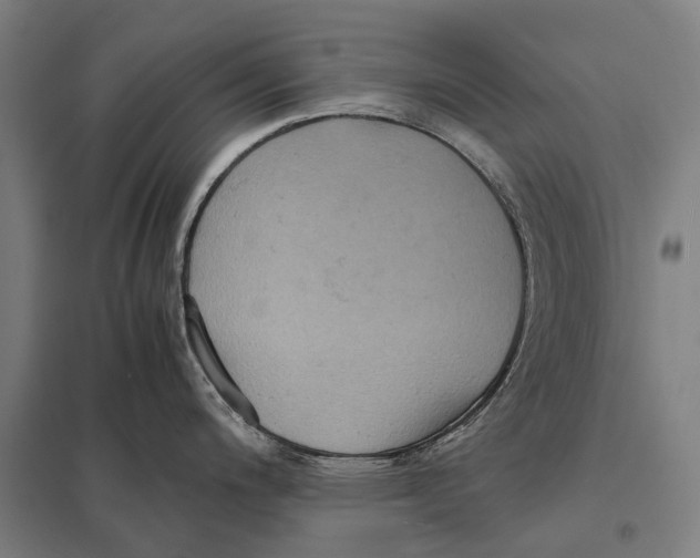 X0000097761200200803281626