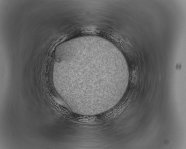 X0000097761201200803281625