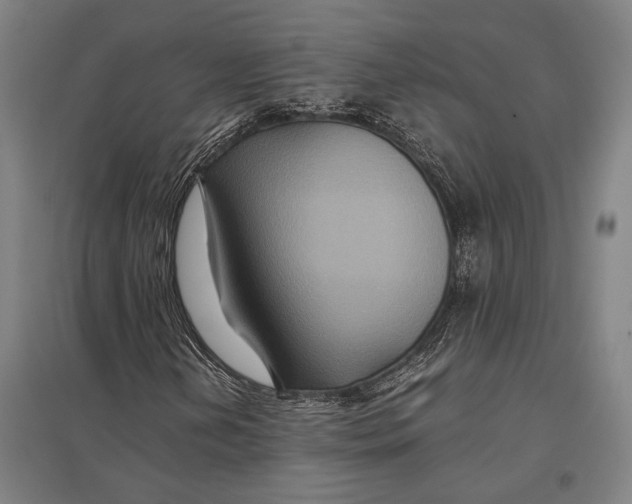 X0000097761202200803281626