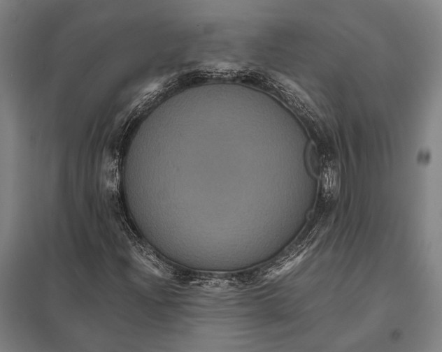 X0000097761204200803281626