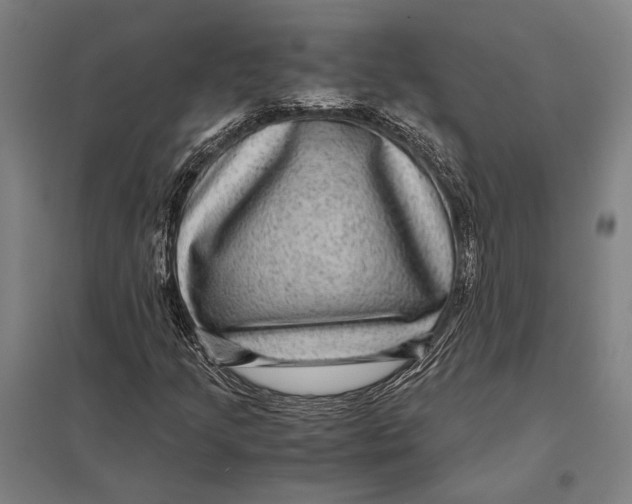 X0000097761205200803281626