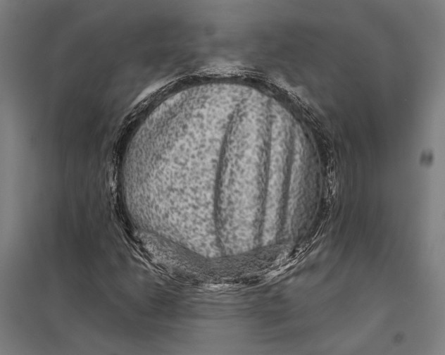 X0000097761206200803281626