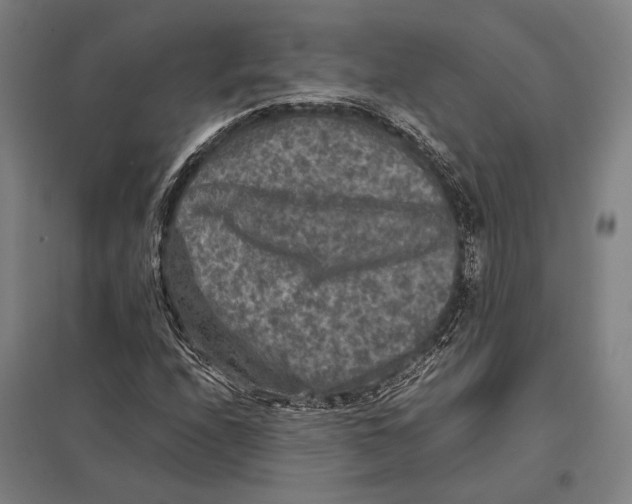 X0000097761208200803281626