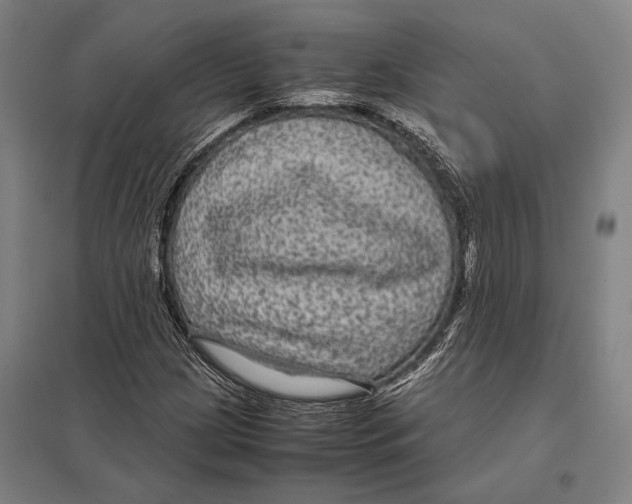 X0000097761209200803281626