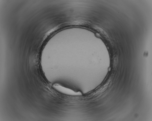 X0000097761210200803281626