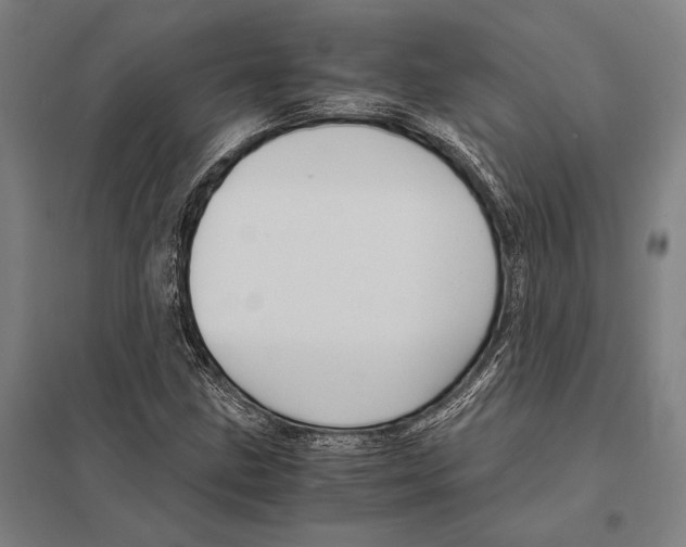 X0000097761211200803281626