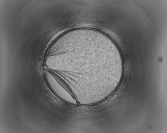 X0000097761212200803281626