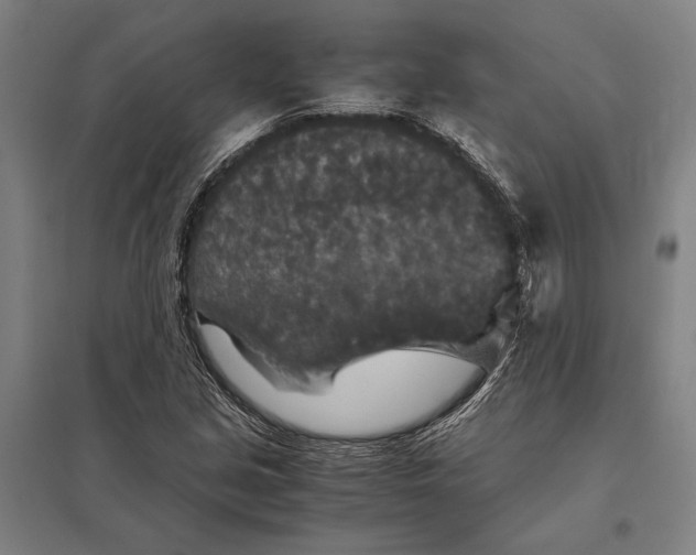 X0000097761213200803281626