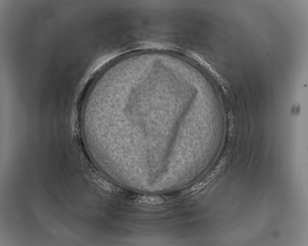 X0000097761215200803281626