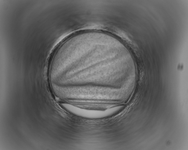 X0000097761216200803281626