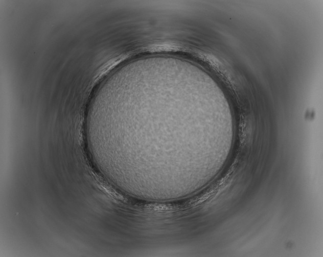 X0000097761217200803281626