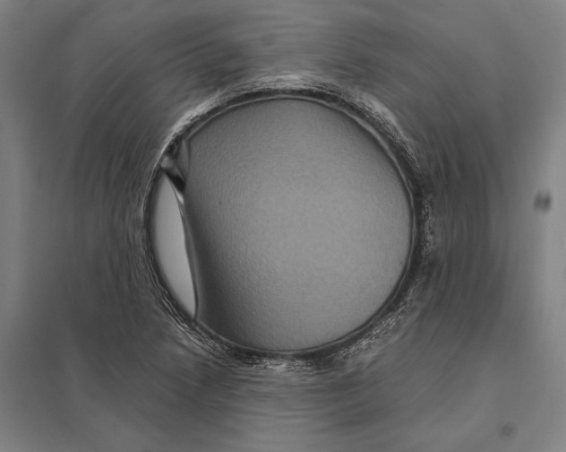 X0000097761218200803281626