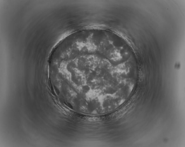 X0000097761219200803281626