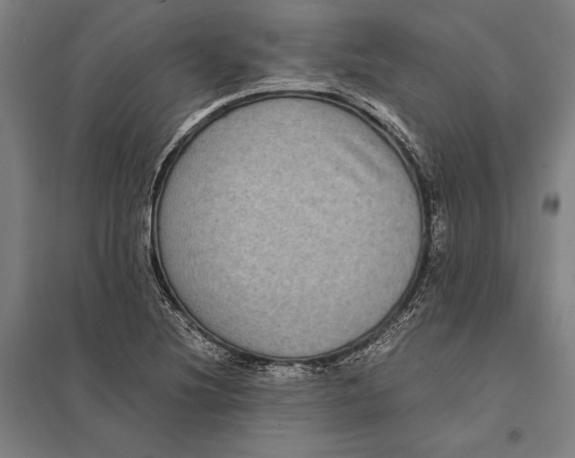 X0000097761220200803281626