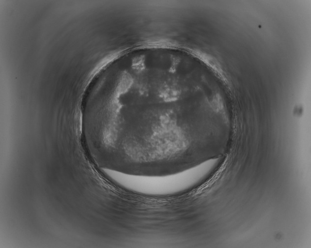 X0000097761221200803281626