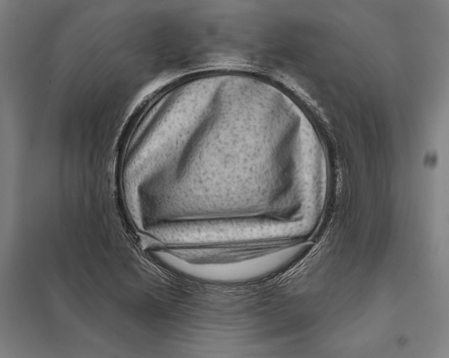 X0000097761222200803281626