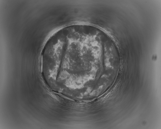 X0000097761223200803281626