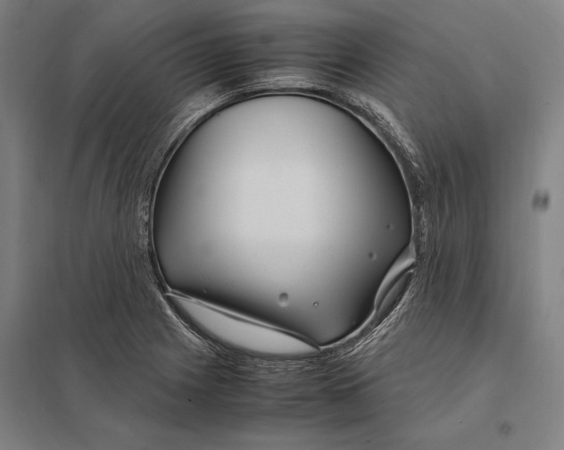 X0000097761225200803281626