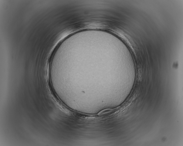 X0000097761227200803281626