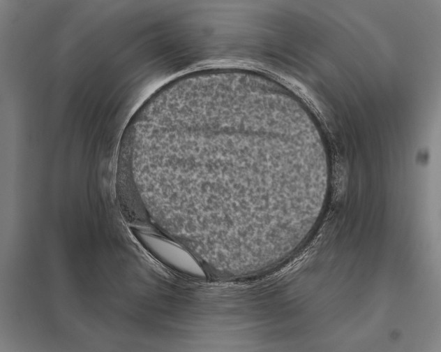 X0000097761228200803281626